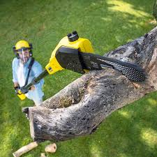 Lawn Edging in Golden Beach, MD